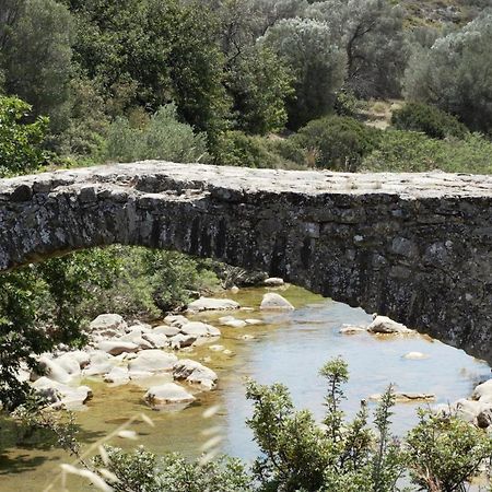Atalia Apartment, Orne Crete Dış mekan fotoğraf